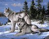 Malen Nach Zahlen Wolf Im Schnee Für Erwachsene