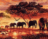 Malen Nach Zahlen Sonnenuntergang In Der Savanne Elefanten Für Erwachsene