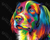 Malen Nach Zahlen Hund Farbenfroh Für Erwachsene Und Kinder