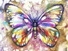 Diamond Painting, Schmetterling in Farbenpracht, 5D Diamant Malerei Bild, Set mit Zubehör,