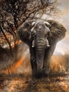 Diamond Painting Elefant In Der Savane 5D Diamant Malerei Bild Diy Set Mit Strasssteinen Viel